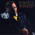Обложка альбома She shot me down (1981)