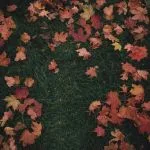 Обложка альбома October passed me by (single) (2022)